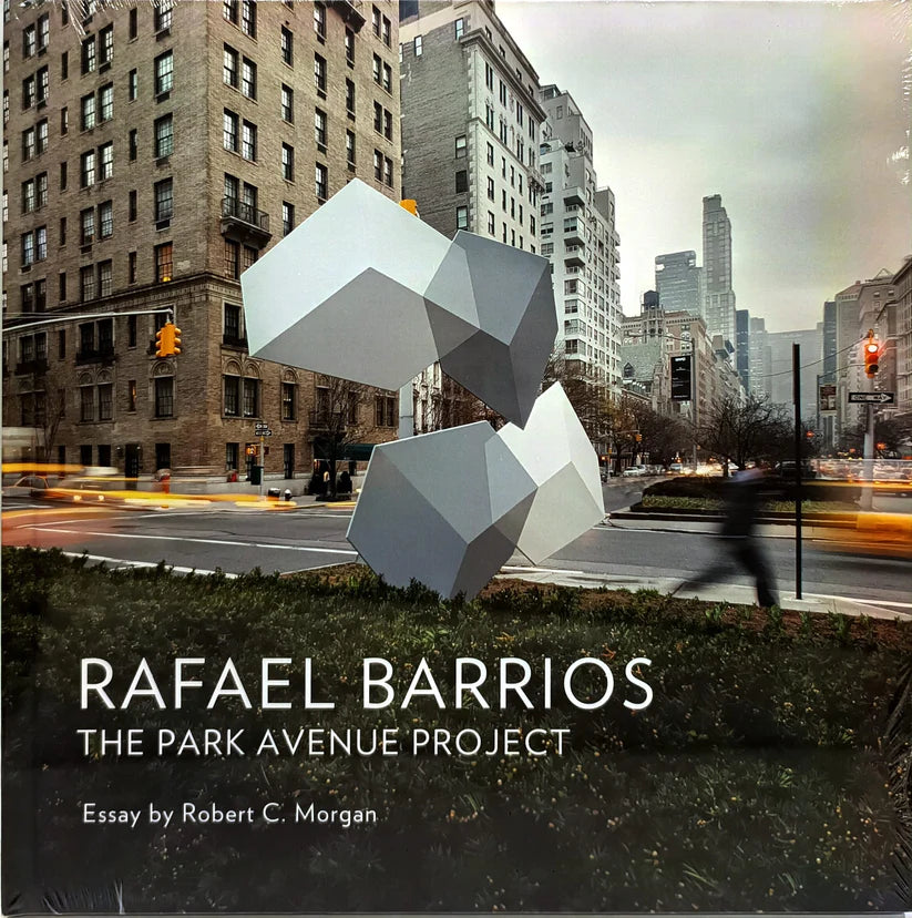 Rafael Barrios. The Park Avenue Project Essay
