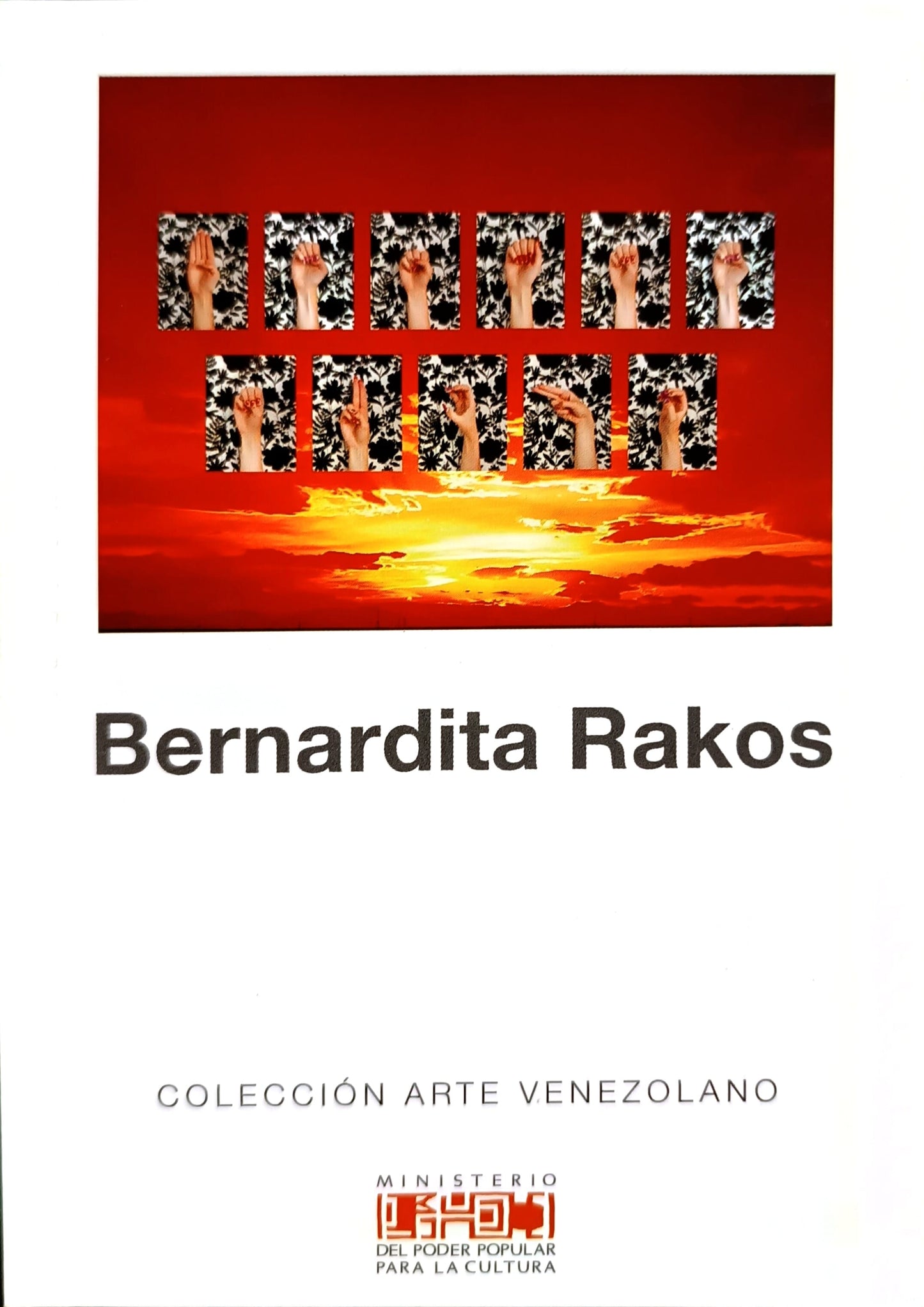 Bernardita Rakos. Colección Arte Venezolano. Nº 110