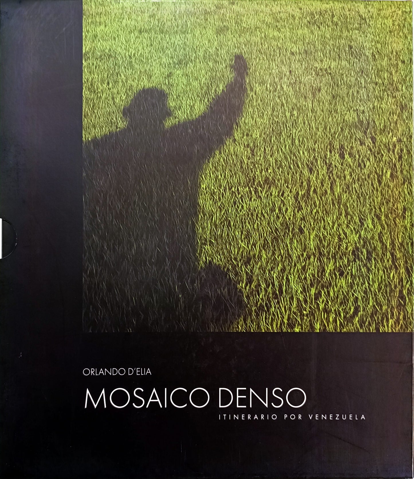 Mosaico Denso. Itinerario por Venezuela