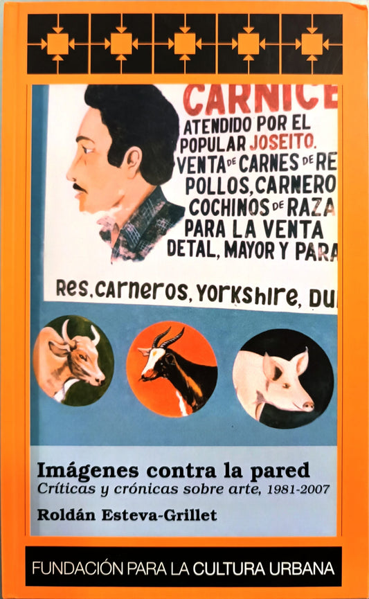 Imágenes contra la pared. Críticas y crónicas sobre arte, 1981-2007