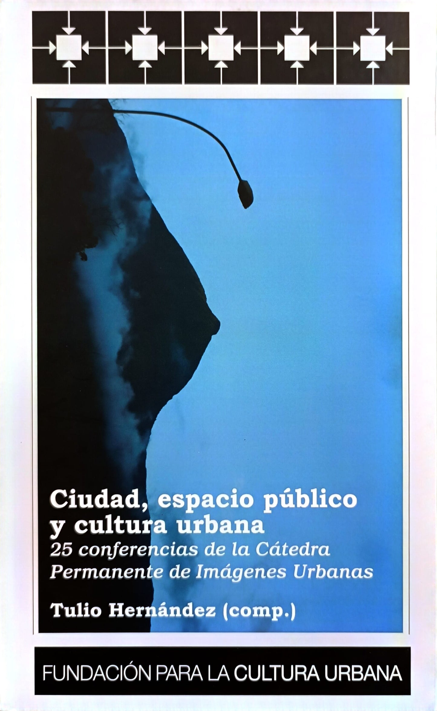 Ciudad, espacio público y cultura urbana. 25 conferencias de la Cátedra Permanente de Imágenes Urbanas