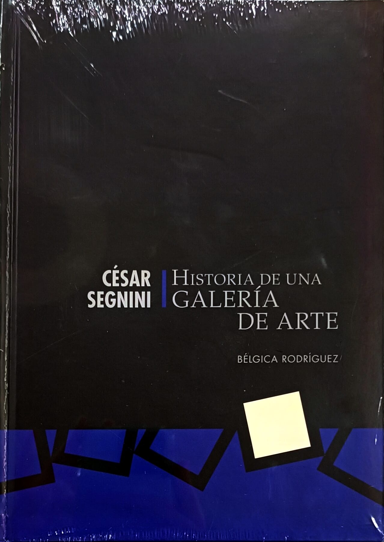 César Sergnini. Historia de una Galería de arte